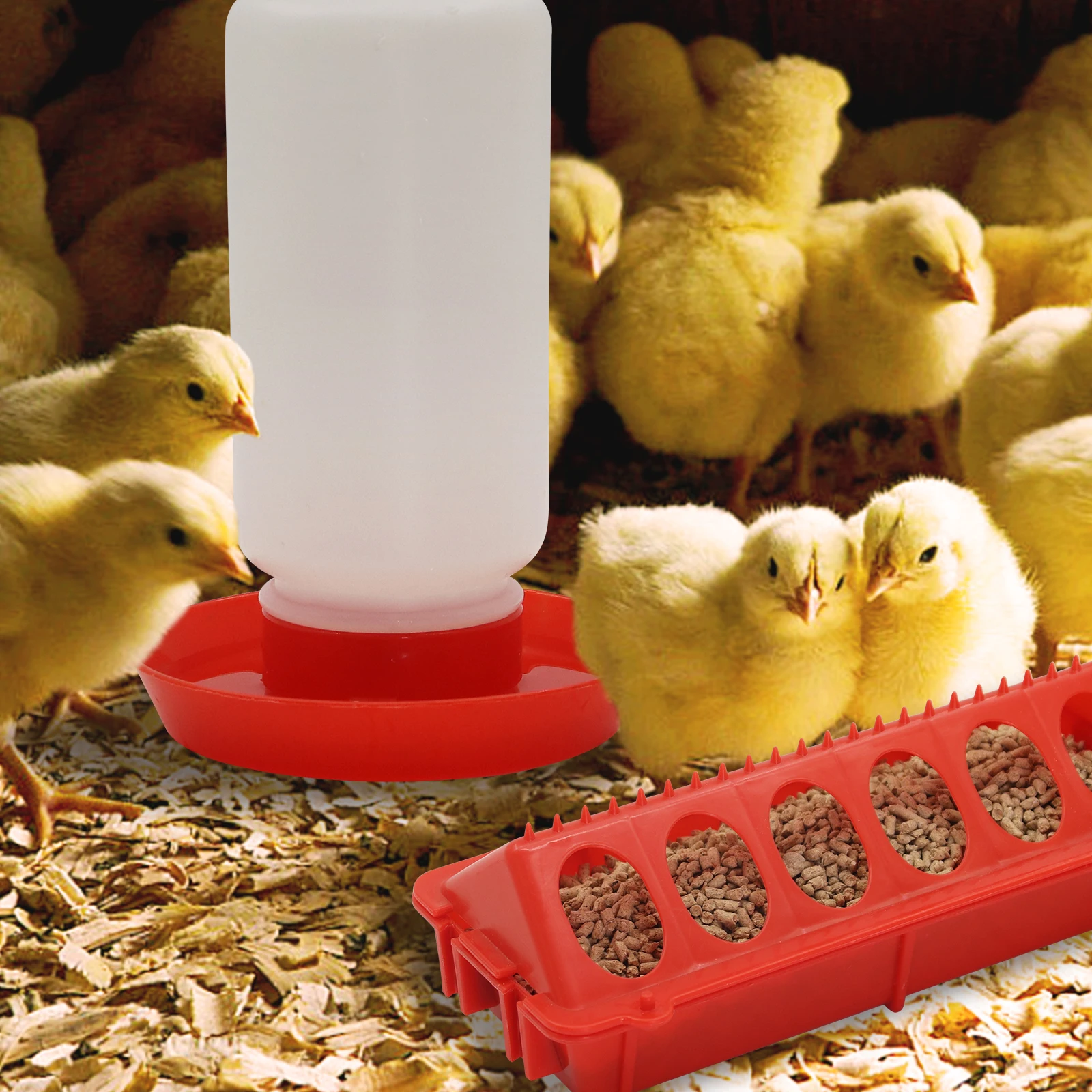 Chicken Feeder Automatic Water Feeder for Chicks Quails Chicks Feed Box Automatic Feeder Small 1005012400761026