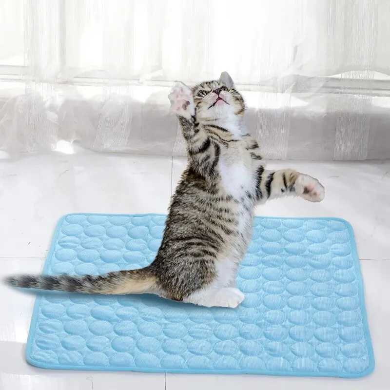 View 2