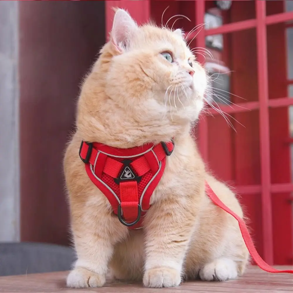 Reflective Trim Cat Harness Leash Breathable Universal Set Adjustable Anti Escape 1005012401679691