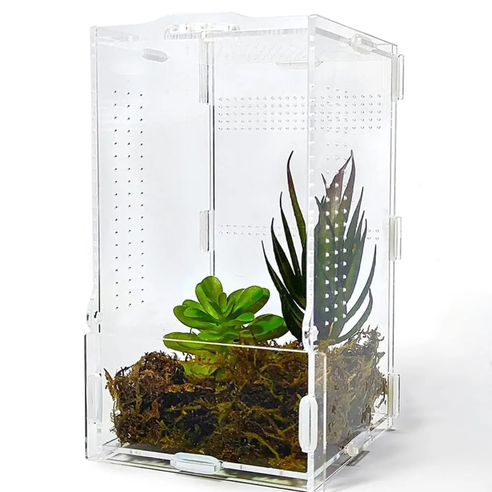 Acrylic Jumping Spider Enclosure Escape Proof Buckle Lock Spider House Transparent Ventilated 1005012404878580