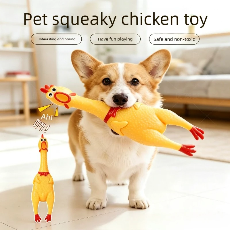 Squeaky Rubber Chicken Dog Toy 1005012406464625