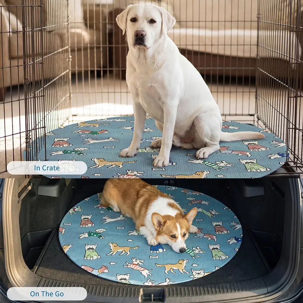 View 6