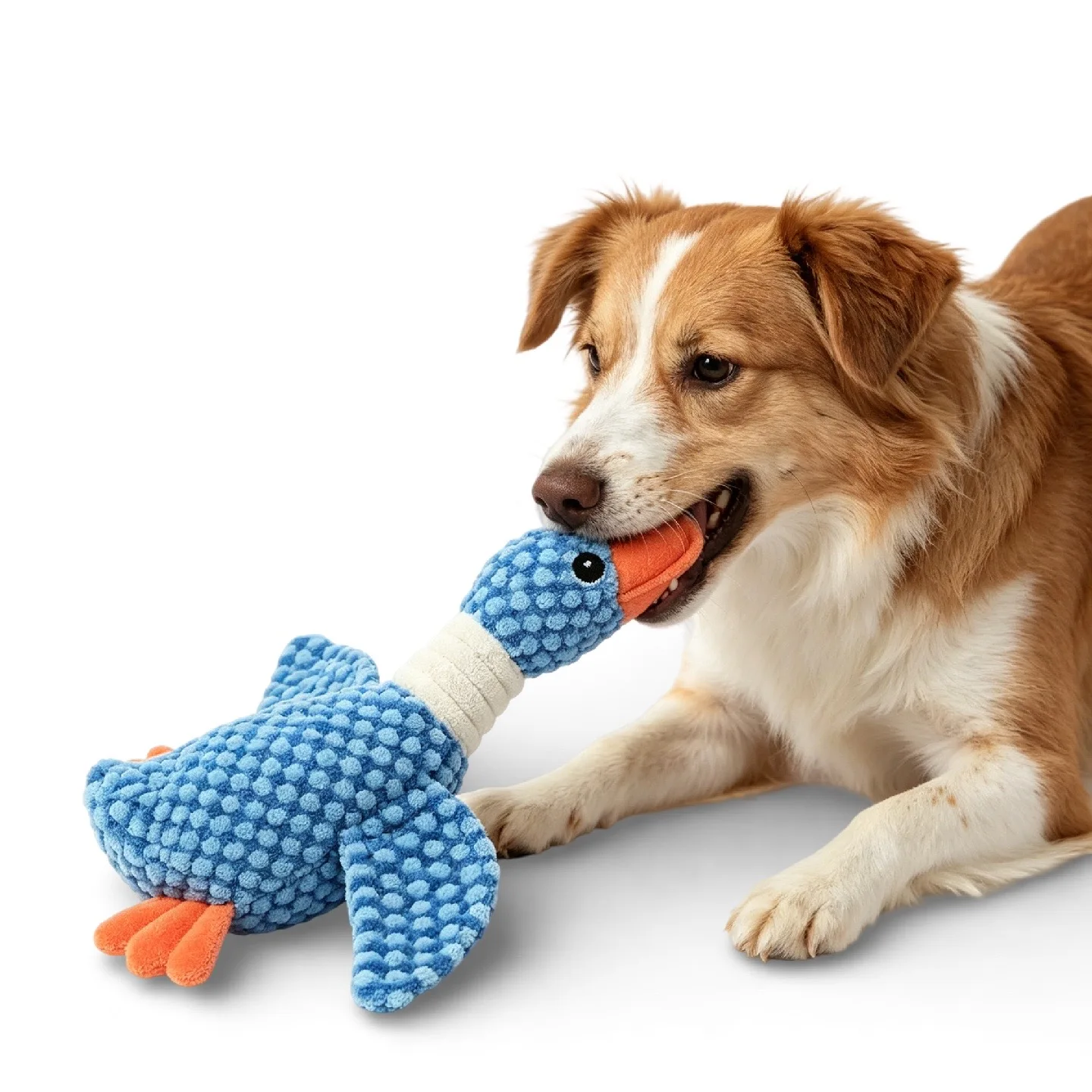 Squeaky Pet Toy, Squeaks When Squeezed, Interactive Boredom-Relief Toy for Dogs, Plush Toy 1005012408731166