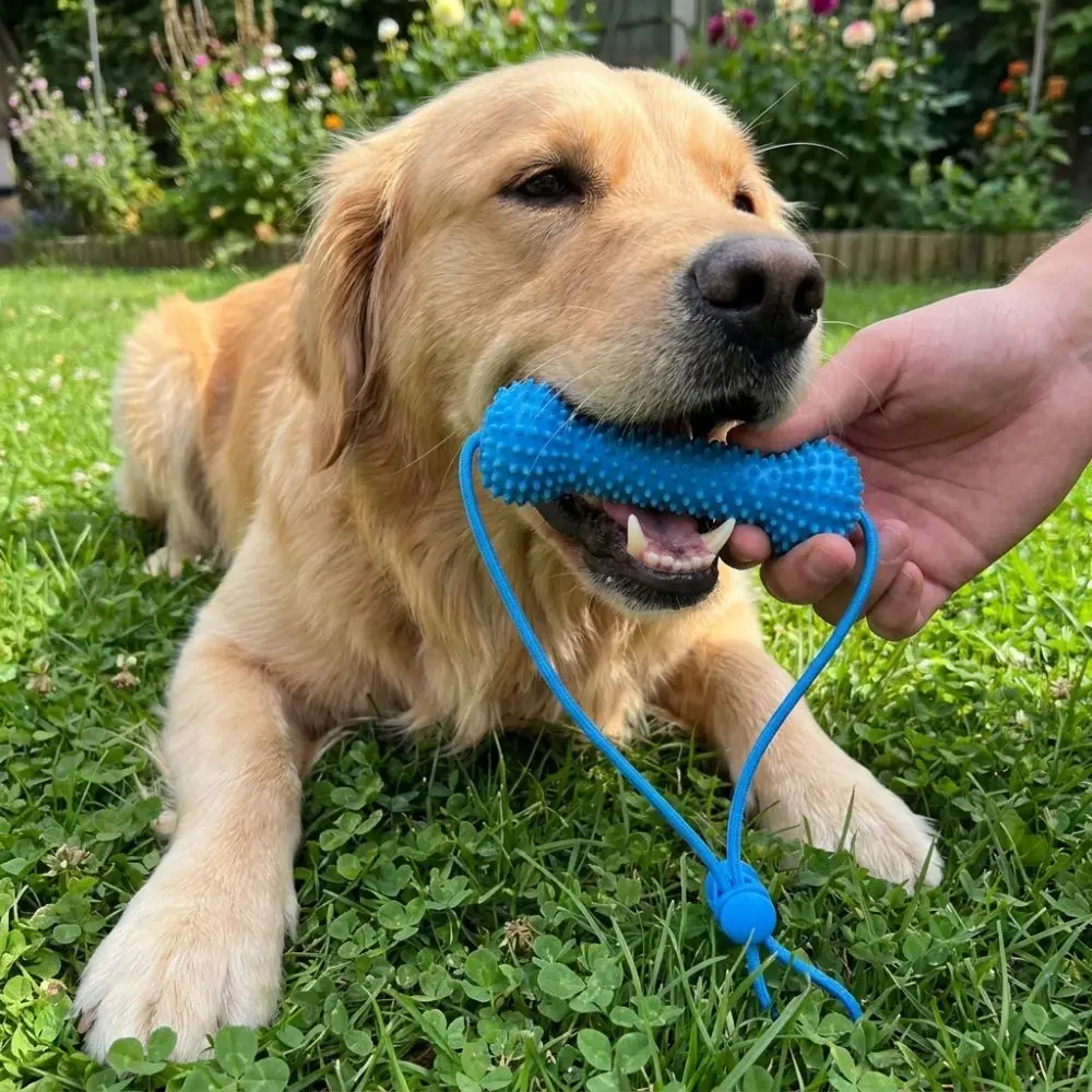 Bite-Resistant Dog Teething Stick Anti-Choking Chew-Resistant Dog Chew Stick with Rope Pet Teeth 1005012409310982