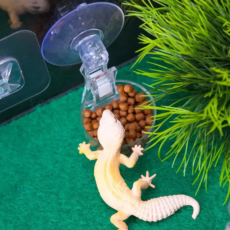 Reptile Water Food Bowl Suction Cup Food Tray Gecko Reptile Lizards Spider Tree Frogs Feeder 1005012416159675