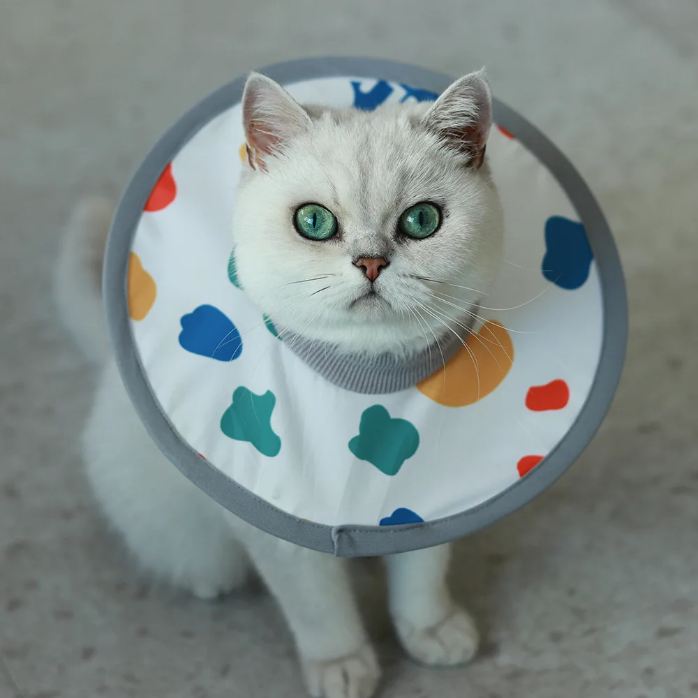 Cat Sterilization Surgery Collar Dog Soft Neck Cover Anti Licking Splashing Shame Lightweight 1005012417792371