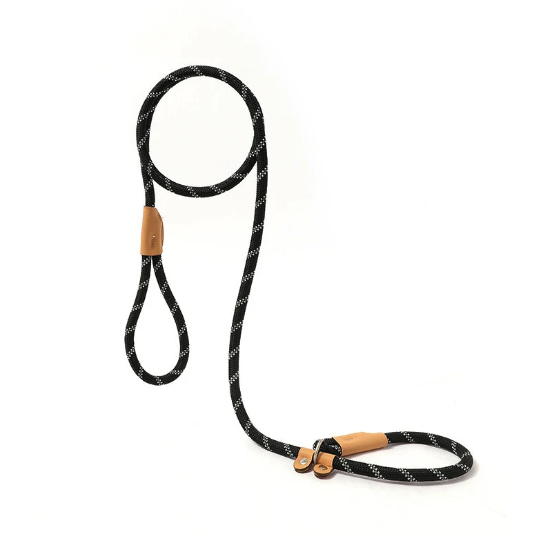 5 /6ft Dog Leash Slip Lead 1005012418360135