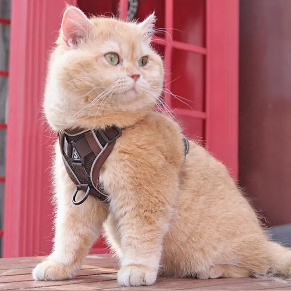 Reflective Trim Cat Harness Leash Breathable Vest Style Adjustable Anti Escape Escape 1005012418702734
