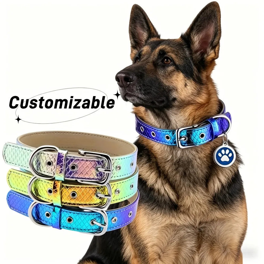 Personalized Reflective Rainbow Leather Choker Collar Customizable Dog Collars with Name Gift 1005012423156826