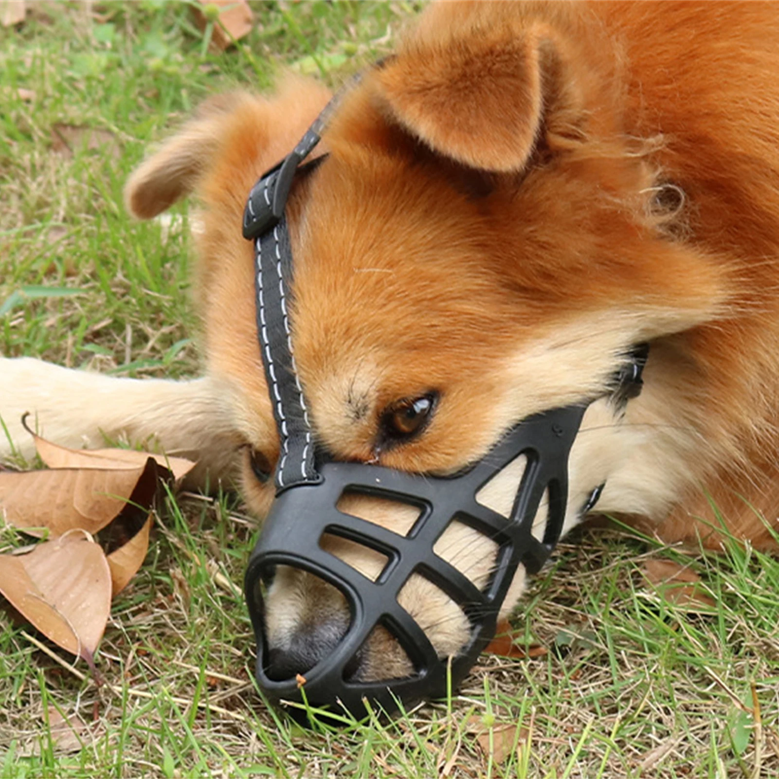 Dog Muzzle Drinkable Anti Biting Dog Muzzles Pet Anti-Accidental Ingestion Mouth Covers Prevents 1005012425033617