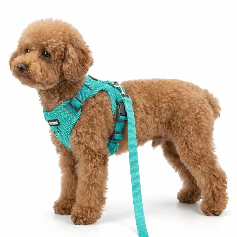 Reflective Breathable Dog Harness and Leash Set Pet Chest Strap Dopamine Pet Supplies Dog 1005012425517329