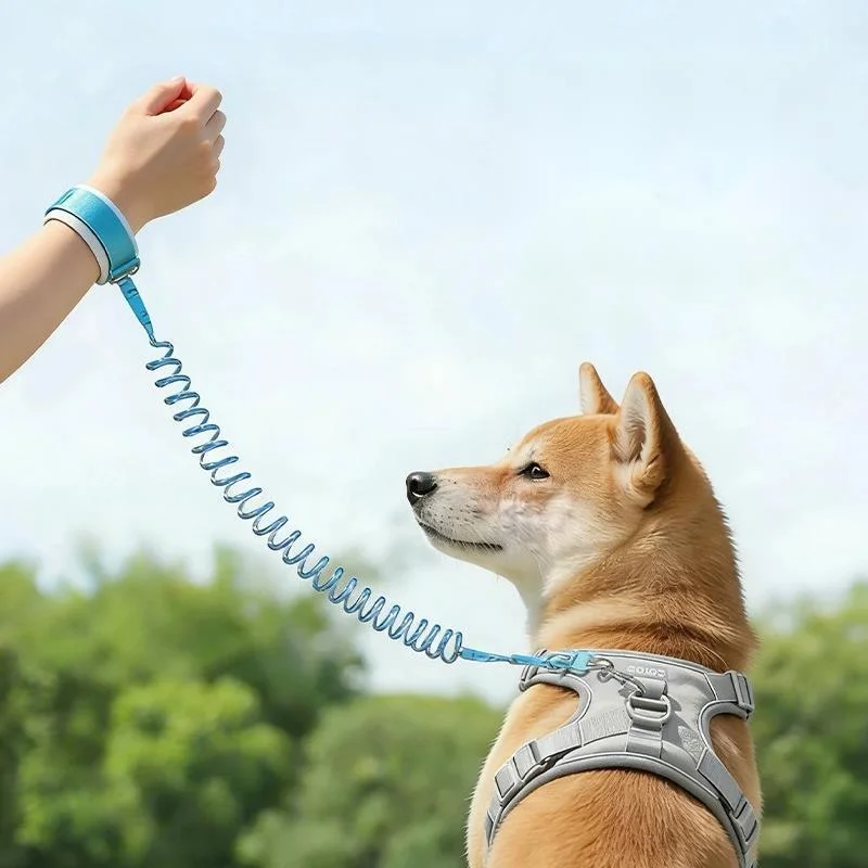 Retractable Dog Leash Auto Extendable Reflective Lead for Small Medium Dogs Outdoor Night Walks 1005012425883060