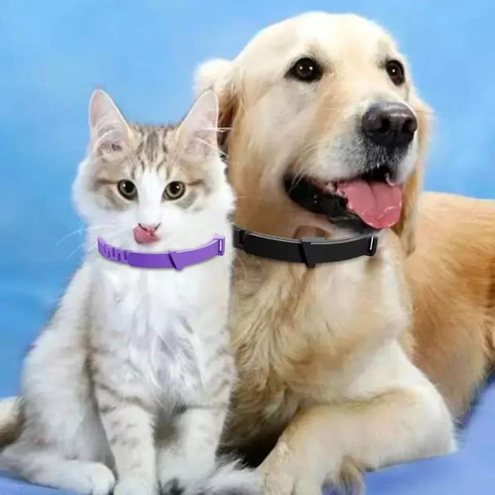 Adjustable Plastic Dog Collar for Small Medium Large Dogs Waterproof Pet Cat Puppy Kitten Collars 1005012432894285