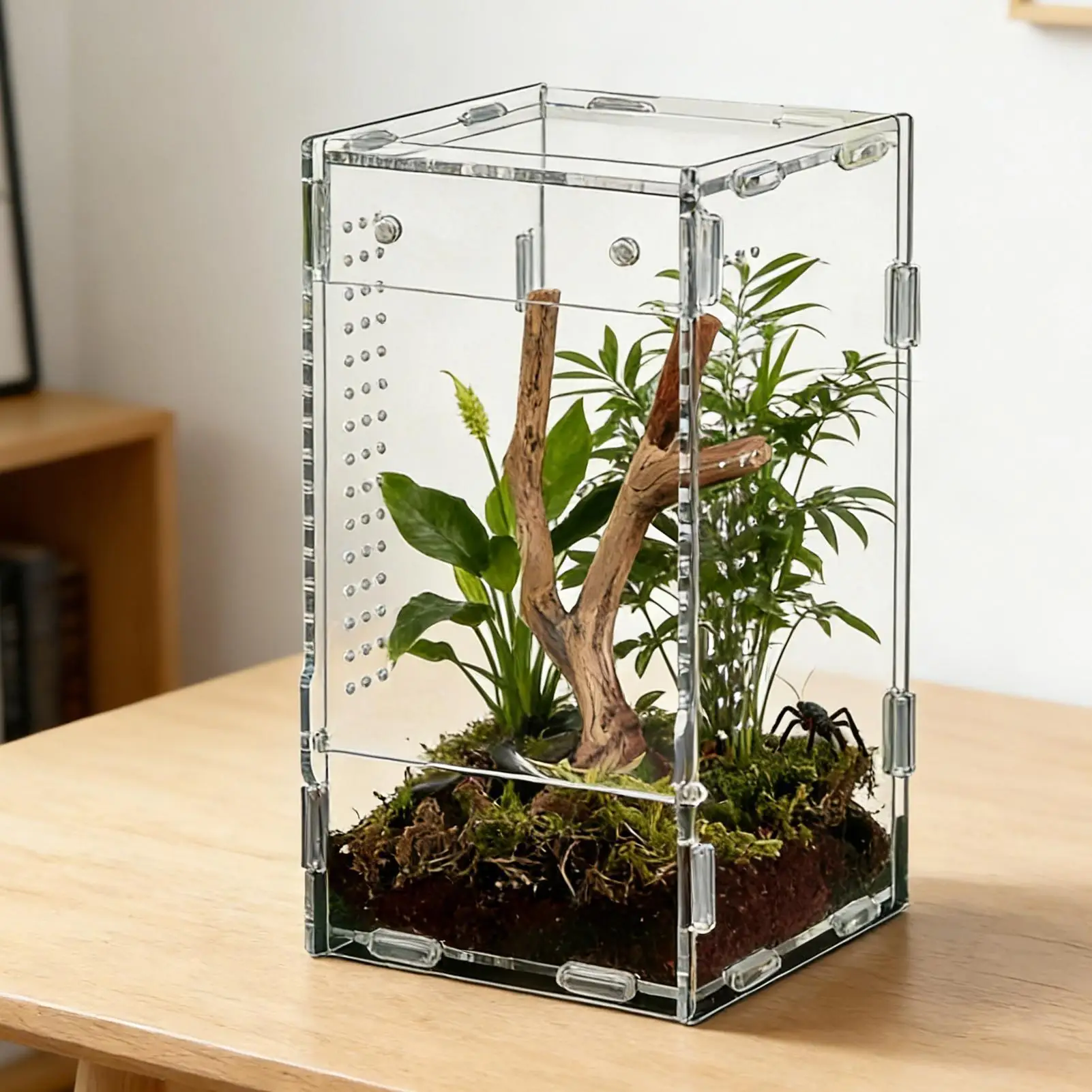 Reptile Enclosure Front Opening Escape Proof Habitat Acrylic Jumping Spider Habitat Box 1005012433051032