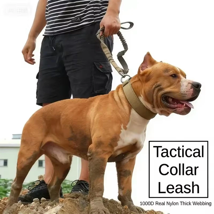 Tactical Dog Collar Heavy Duty Nylon Adjustable Quick Release Buckle with Control Handle for Medium 1005012434059116