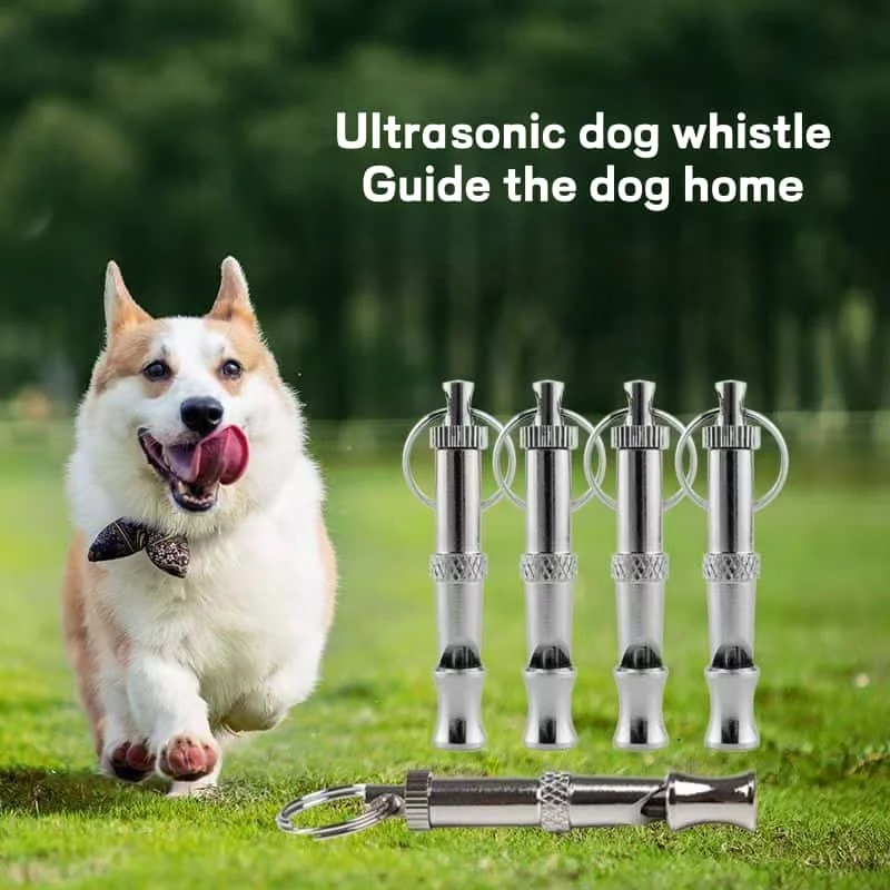 Calling Dog Whistling Pet Ultrasonic Training Supplies Pet Training Equipment Pet Flute Training 1005012434238581