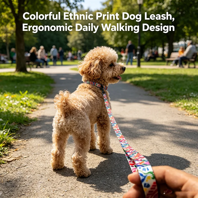 Sturdy Wear Resistant Printed Adjustable Pet Collar Matching Durable Dog Leash Soft Comfortable 1005012437552380