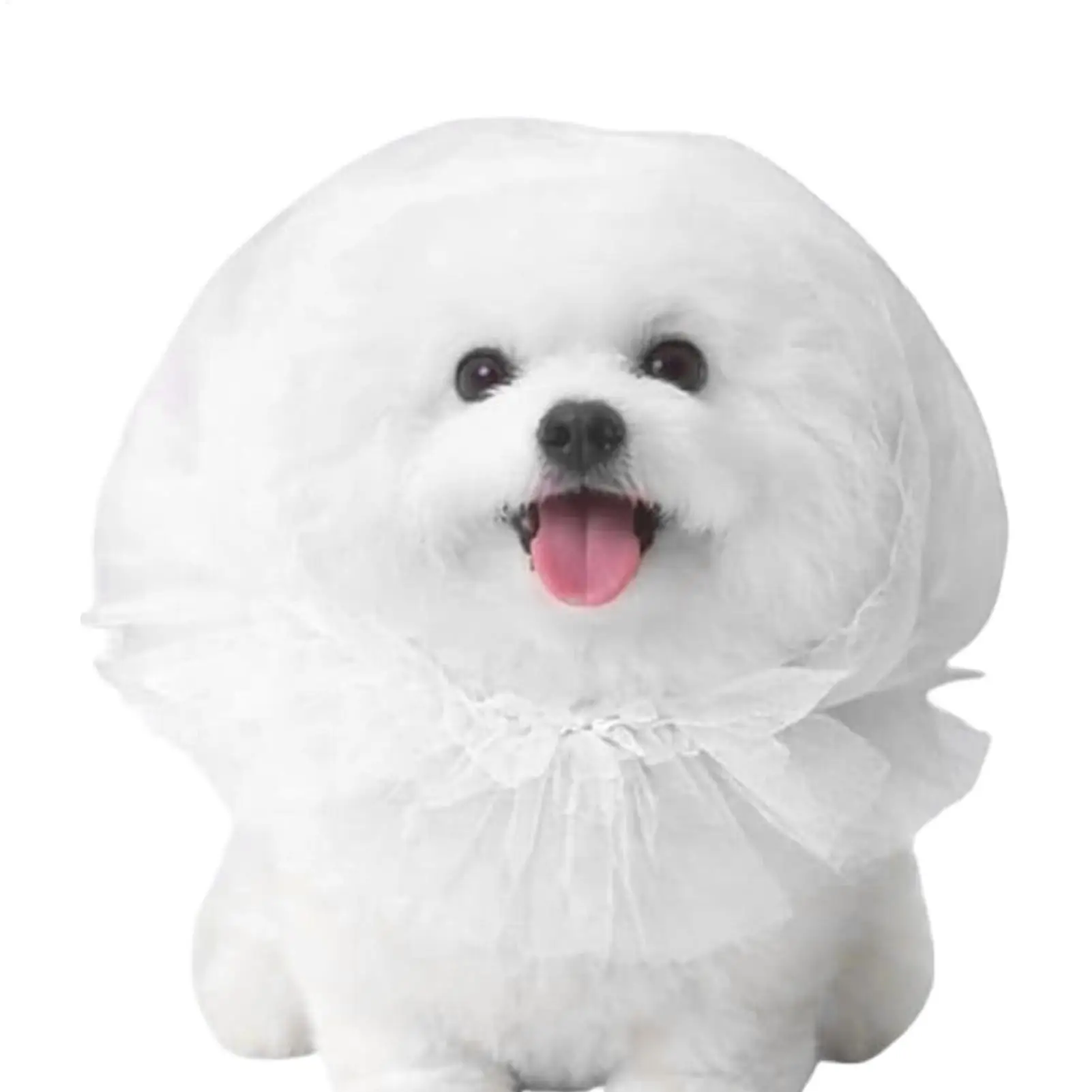 Outdoor Safety Net Muzzle for Small Medium Sized Dogs Avoid Random Snacking Biting and Unwanted 1005012437954247
