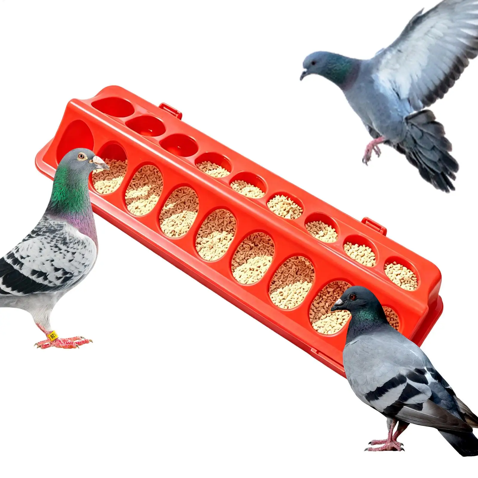 Chicken Feeder Automatic Water Feeder for Chicks Quails Chicks Feed Box Automatic Feeder Small 1005012439057561