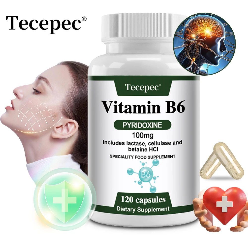 Vitamin B6 Capsules 1005012441744807