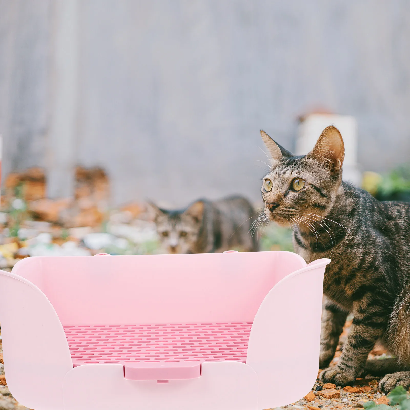 Large Rabbit Litter Box ABS Splash Proof Detachable Design Small Pet Toilet Bunny Guinea Pig 1005012443130342
