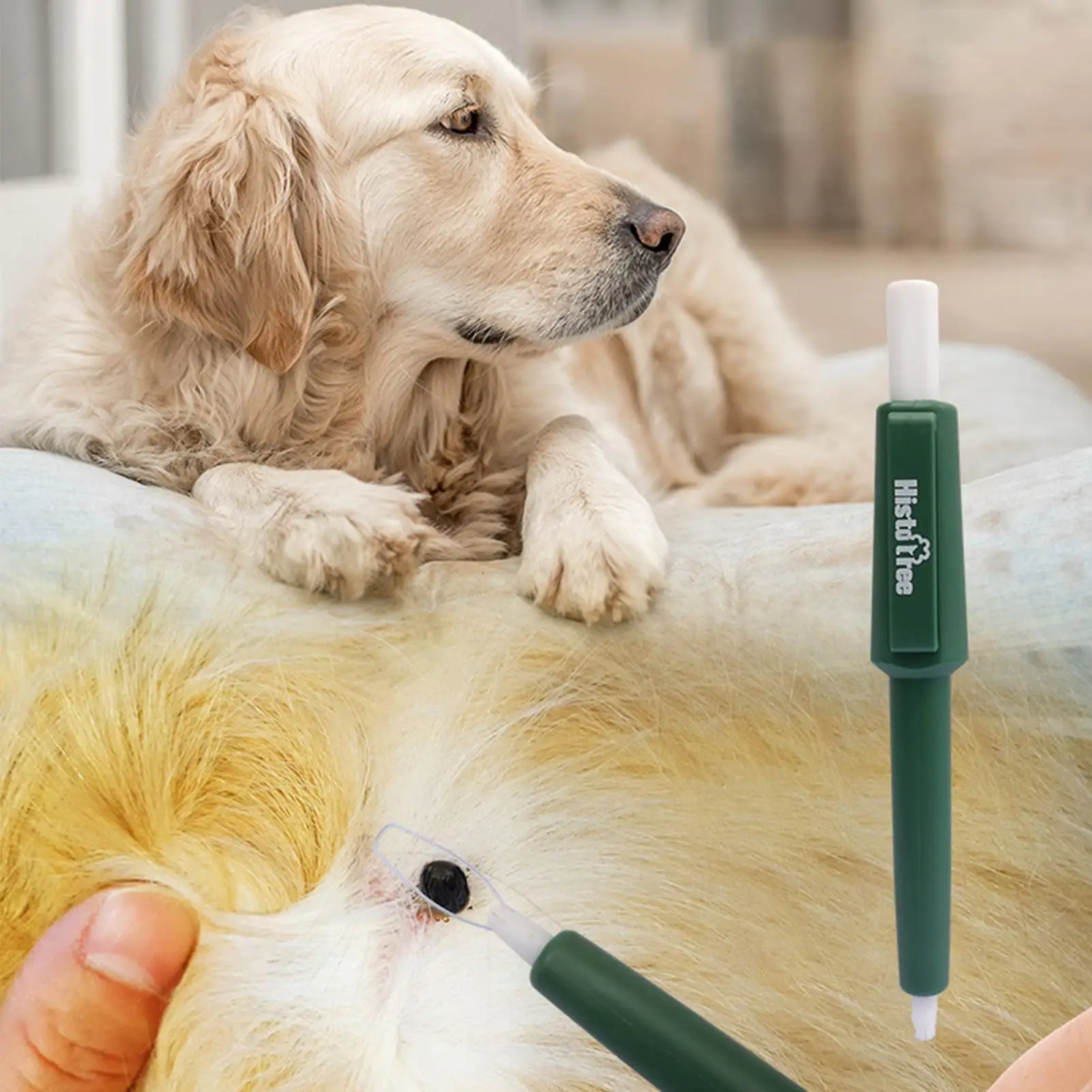 Pet Tick Remover Pen Anti Ticks Fleas Tweezers Hook Insect Catching Portable Extractor for Cats 1005012450439513