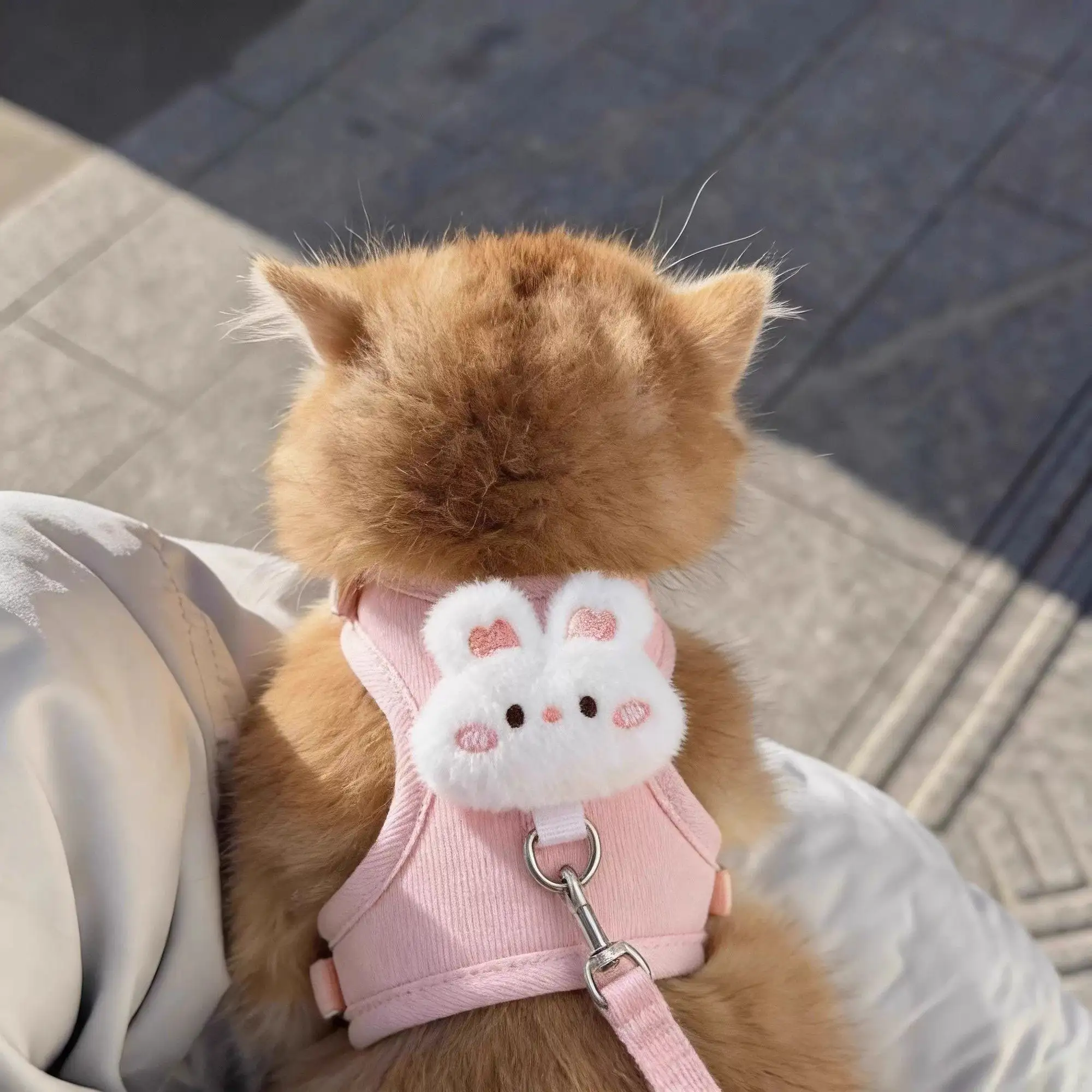 Adjustable Cat Leash Harness for Outdoor Travel Walking Soft and Breathable Pet Harnesses Kitten 1005012450976647