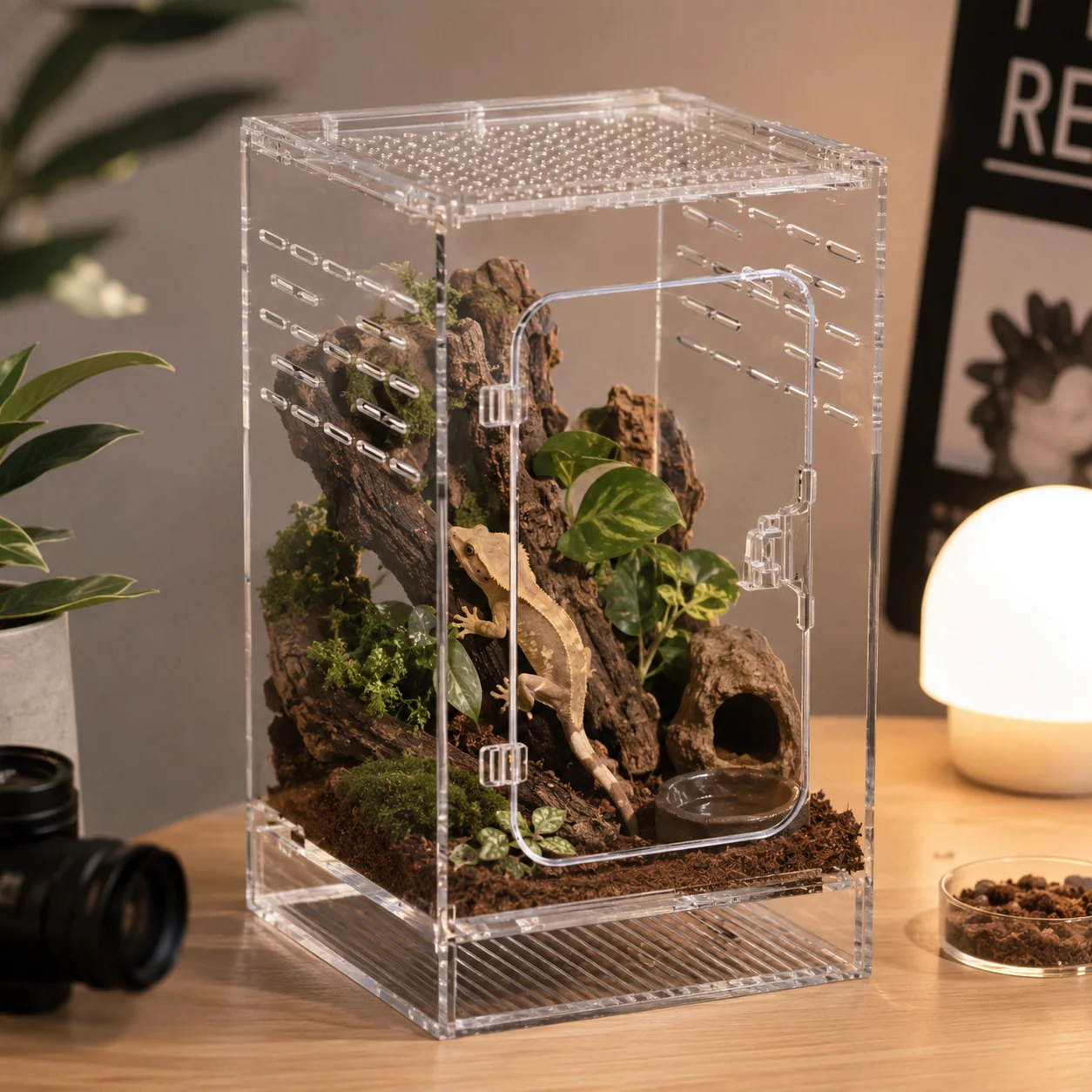 Acrylic Terrarium Reptile Habitat Climbing Arboreal Transparent Box for Geckos Frogs Spiders Small 1005012454407182