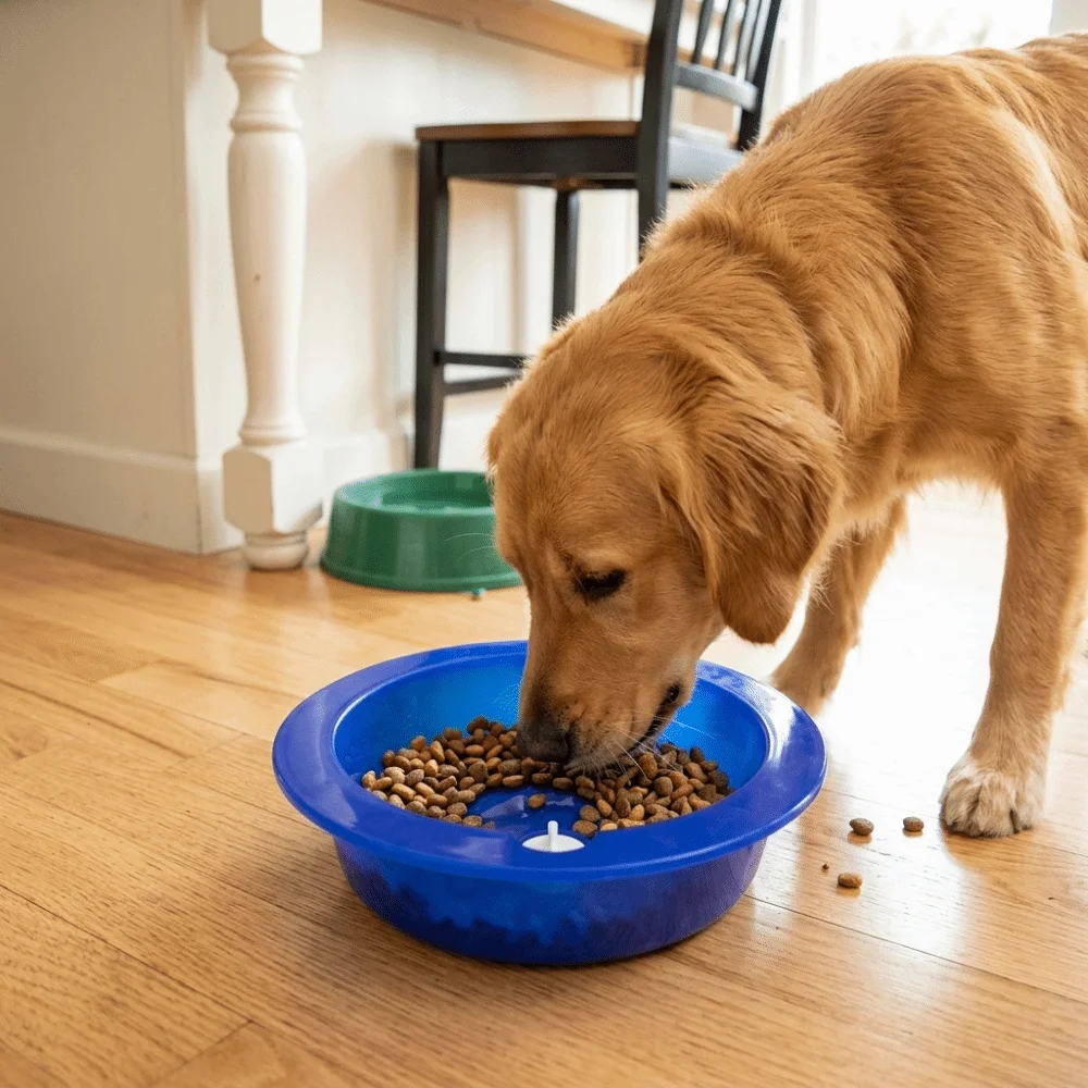 Water Injection Dog Cooling Bowls Cool Down Long Lasting Feeder Relieve Heat Cold Retention Pet 1005012455196740