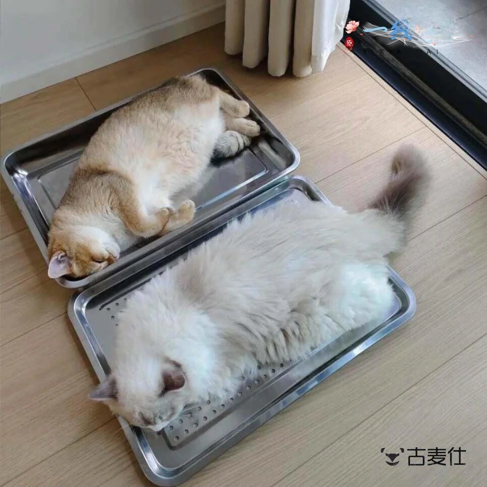 Cooling Stainless Steel Pet Bed for Cats and Dogs Breathable Heat Dissipation Mat Summer Air 1005012458071479