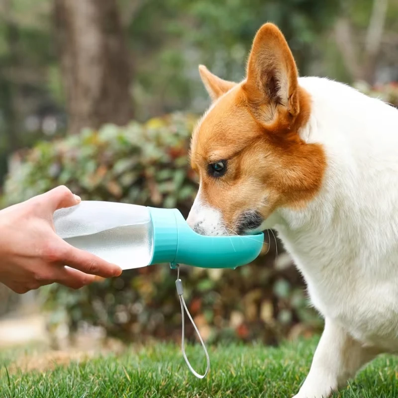 Big Dog Water Bottle Portable Drinking Bowl for Small Medium Dogs Cat Travel Hiking Puppy Pet (500ml) 1005012458076782