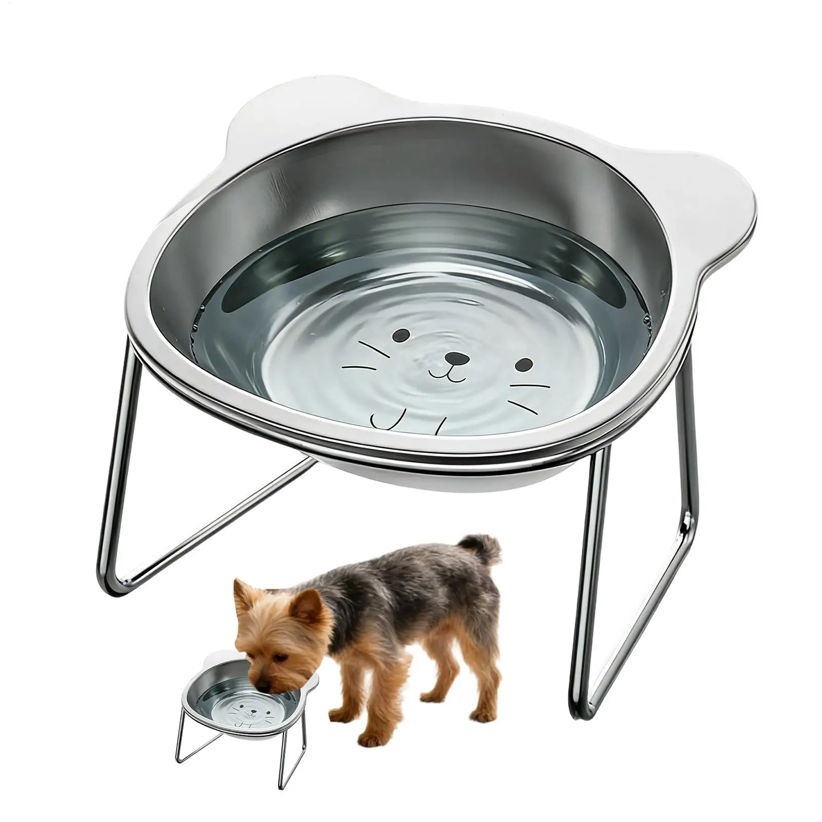 Cat Food Bowls Elevated Stainless Steel 15 Tiltednon-Slip Dishes Angled Kitten Bowl for Cats Kitten 1005012463163411