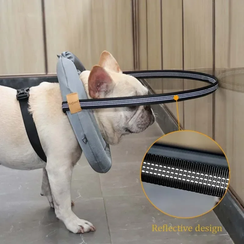 Adjustable Blind Dog Collar Pet Safety Harness Reflective Guiding Device Collar Anti Collision 1005012465301658