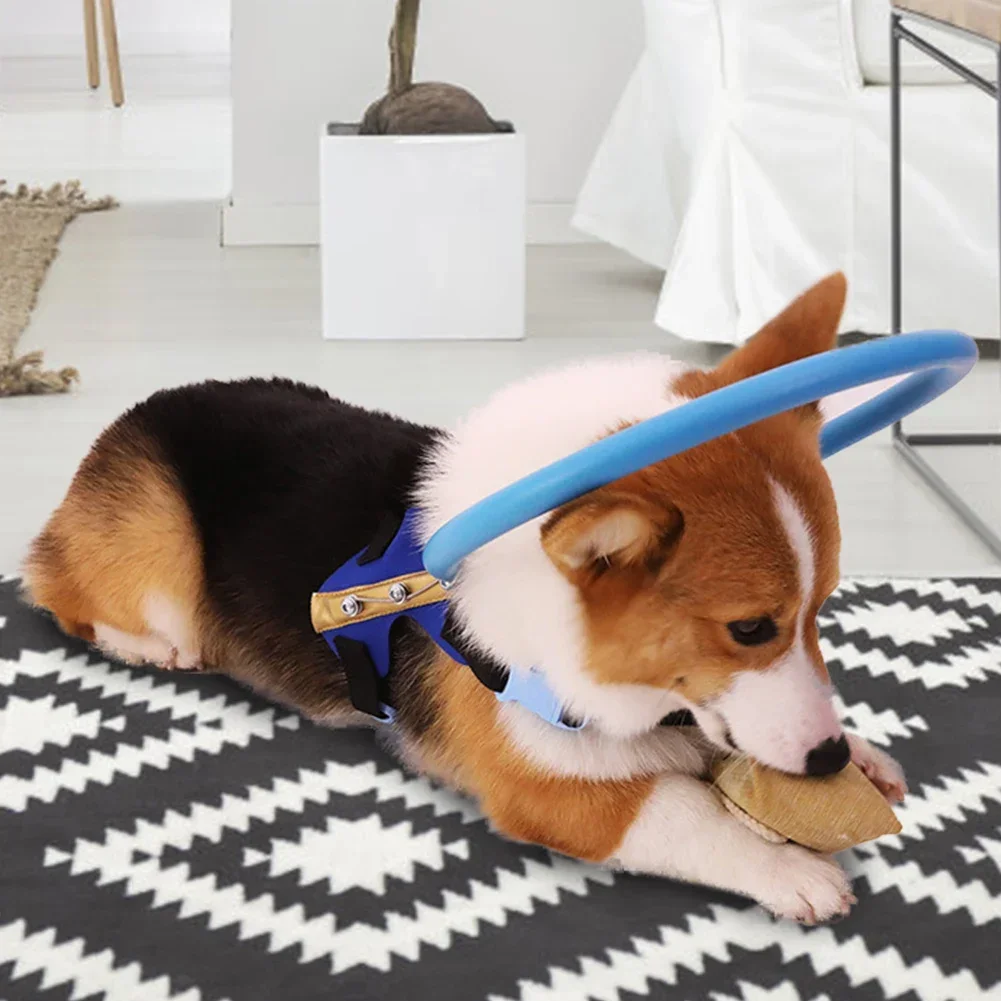 Blind Aid Pet Dog Collars Leading Dogs Behavior Angel Wing Blue Collar Collision Avoidance 1005012465405271