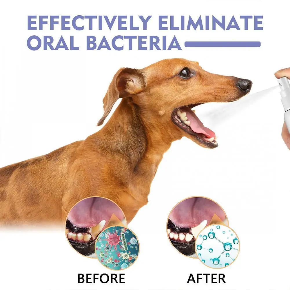 Pet Dental Spray Reduces Plaque & Tartar Buildup Dog Cleaning Bad Freshener Breath Teeth Mint Spray 1005012465823518