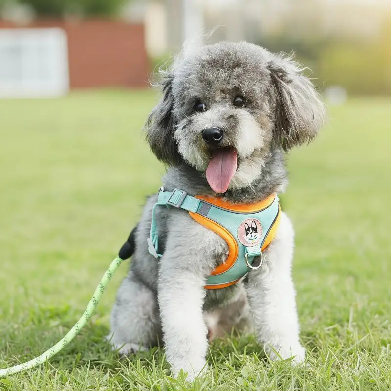 Adjustable Dog Harness Leash Set Reflective Anti-Choke Vest for Small Medium Dogs Outdoor Walking 1005012470470004