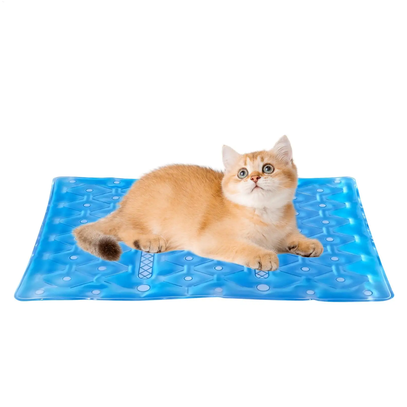 Cooling Dog Mat Sitting Pad Cool Down Seat Cushion for Women Men Adults Pets Athletes Home Office 1005012472637645