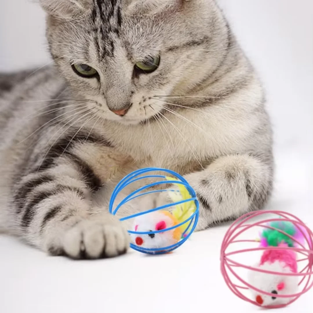 Cat Puzzle Mouse Toy, Fun Feather Mouse Ball Cage, Creative Pretend Play Toy for Kittens 1005012478177368