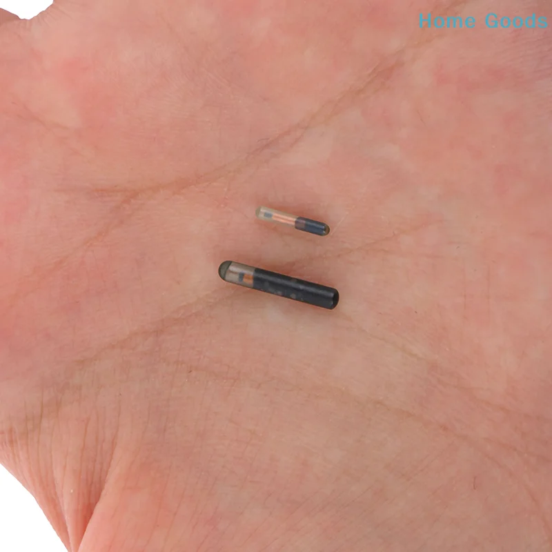 Preferred134.2khz Microchip Animal RFID Tag for Fish Dog Cat Idetificationproduct 1005012479247011