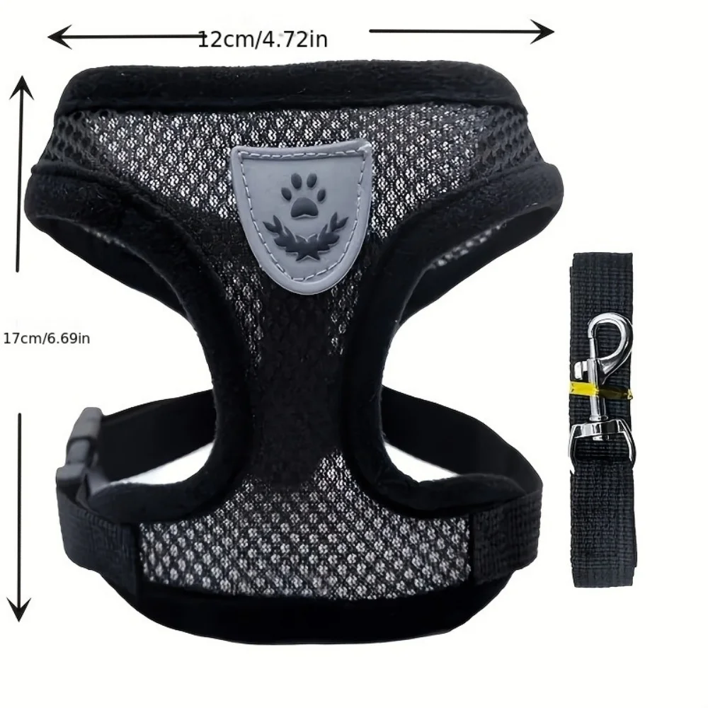 View 5