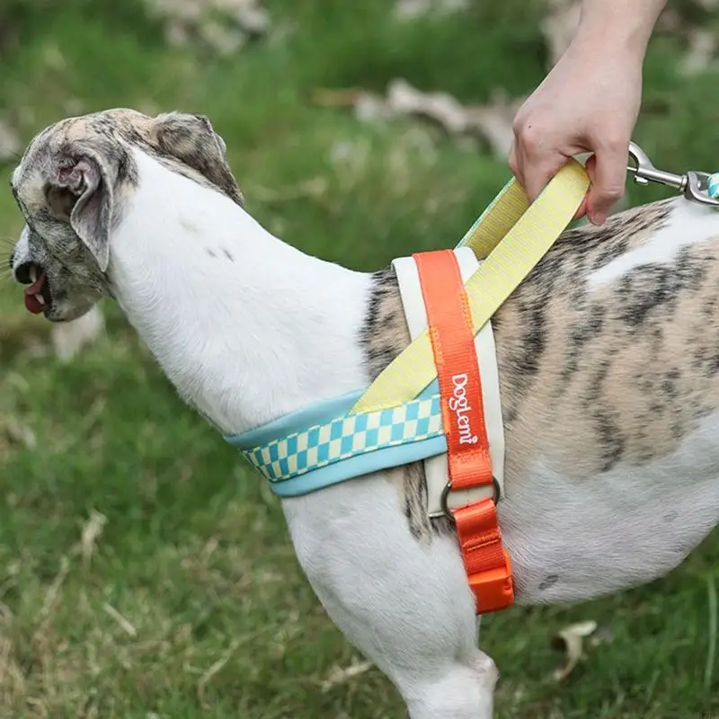Dog Harness Vest with Handle Adjustable Training Vest Pet Strong Training Walking Hiking Padded 1005012486954731