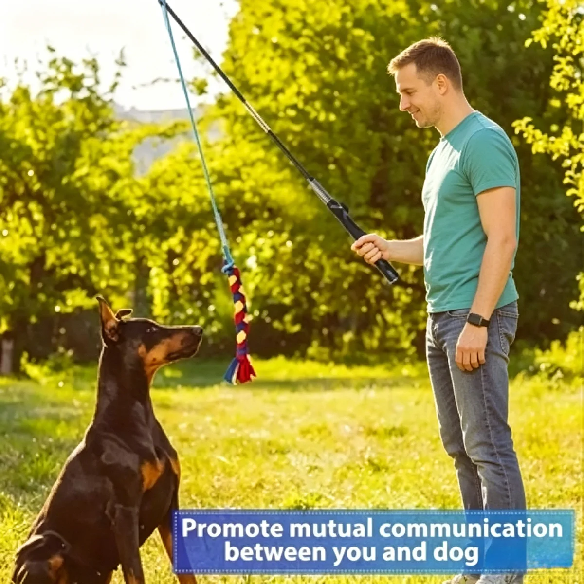 Dog Training and Flirting Stick 1005012488187984