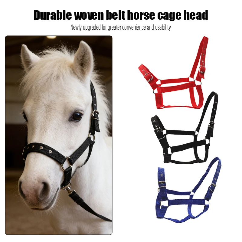 Adjustable Nylon Horse Halter with Lead Rope – Durable Ponies & Horses Grooming Training Tack 1005012489416072