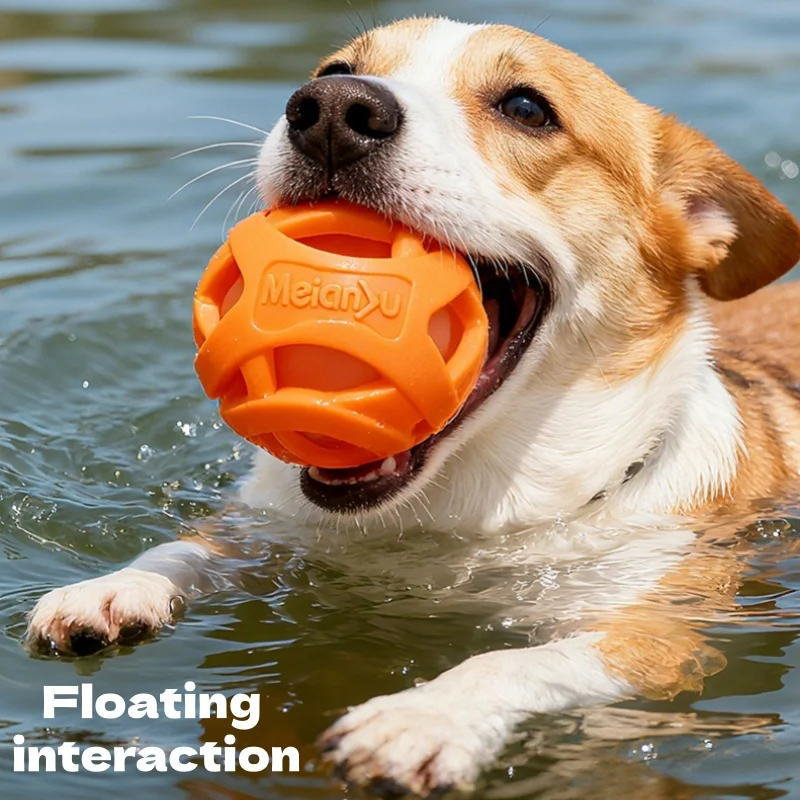 Floating Dog Chew Ball Indestructible Rubber Teeth Cleaning Molar Toy Interactive Fetch Ball 1005012494039752