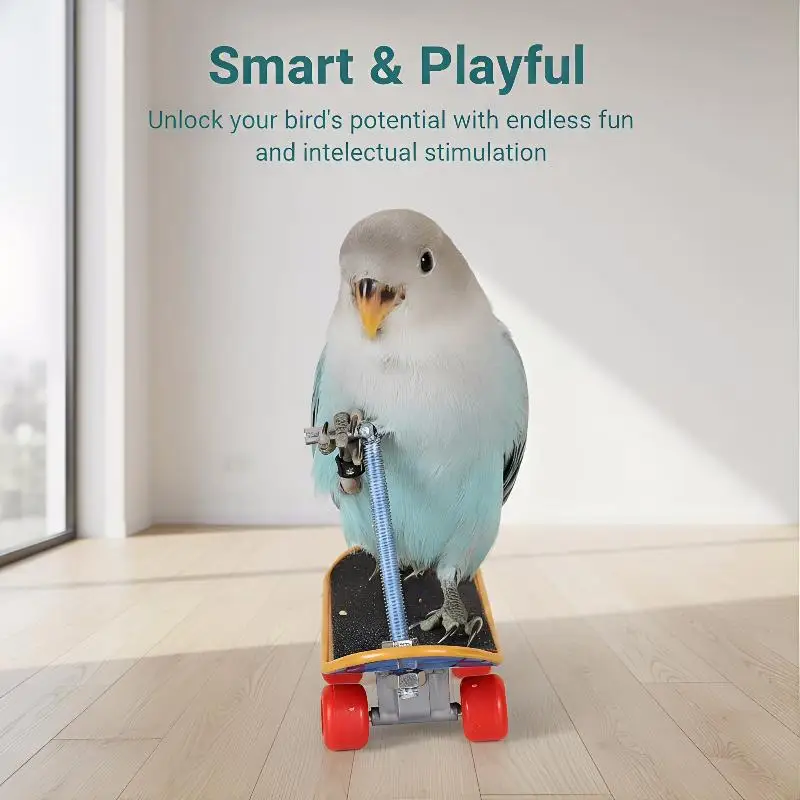 Bird Parrot Skateboard Plastic Reptiles Entertainment Training Tool ACC Bird Supplies Skates Pet 1005012496999024