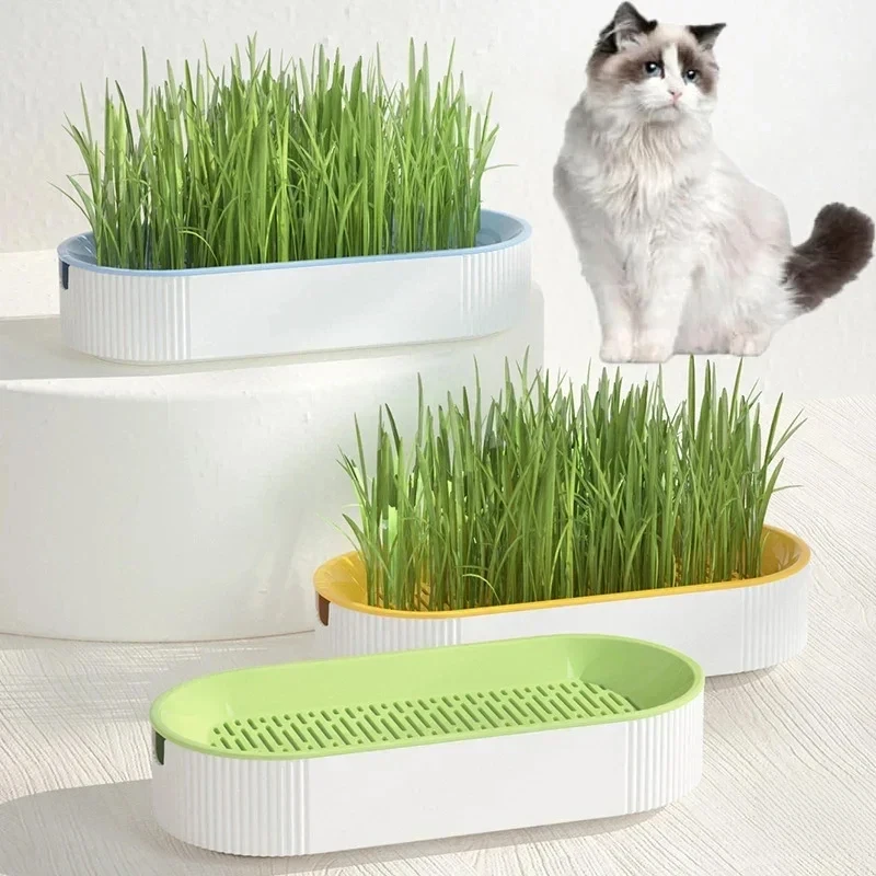 Hydroponic Cat Grass Growing Kit Soil Free Cat Treat Planter Healthy Hairball Control Natural Chew 1005012498221275