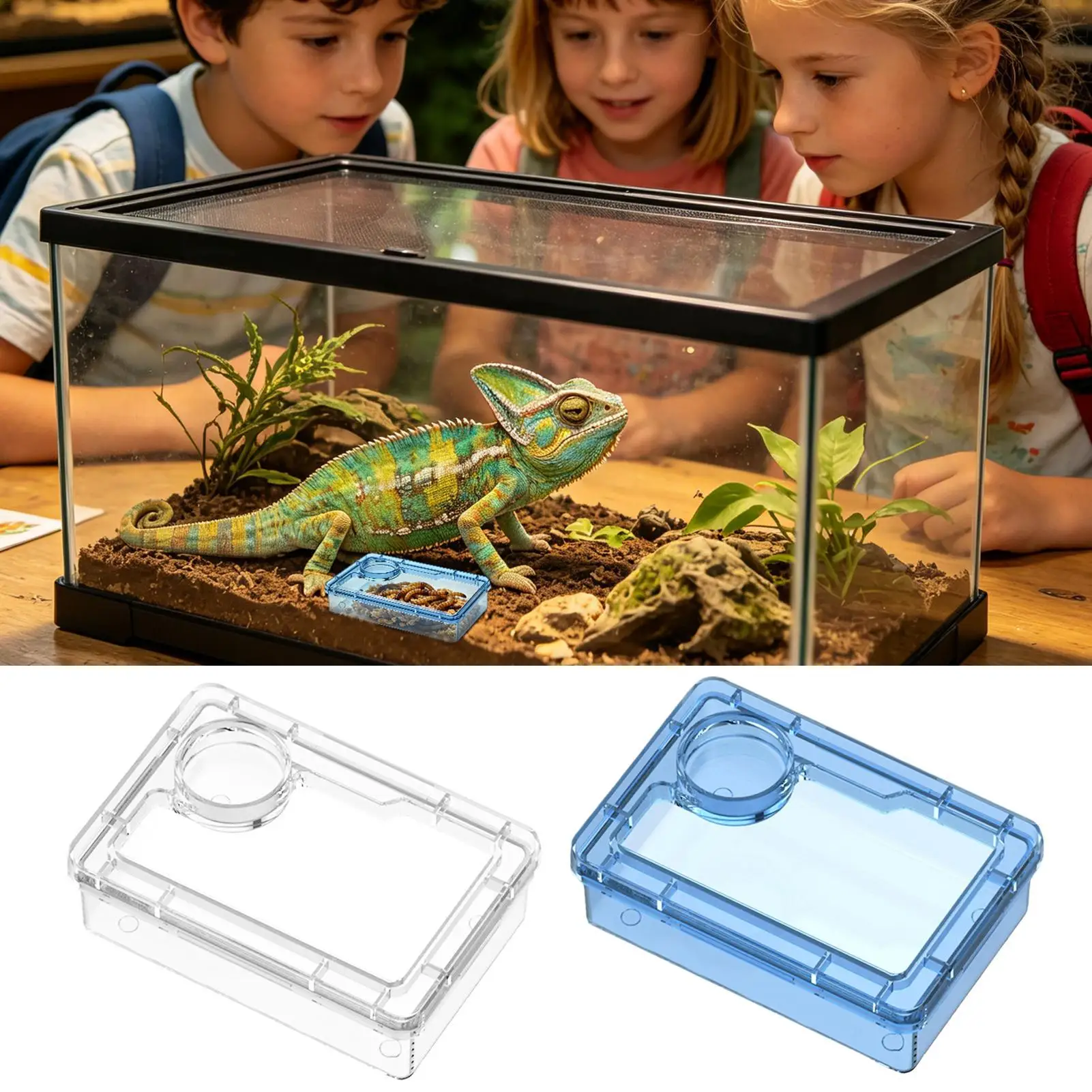 Reptile Food Dish Escape-Proof Reptile Feeder Escape Proof Lizard Feeding Dish for Hermit Crab Frog 1005012499371545
