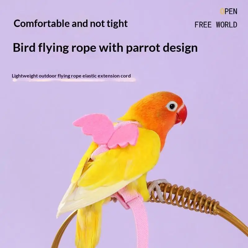 Parrot Flying Harness Leash Suit Pet Bird Outdoor Flight Training Rope Cockatiel Supplies Macaw 1005012502472676