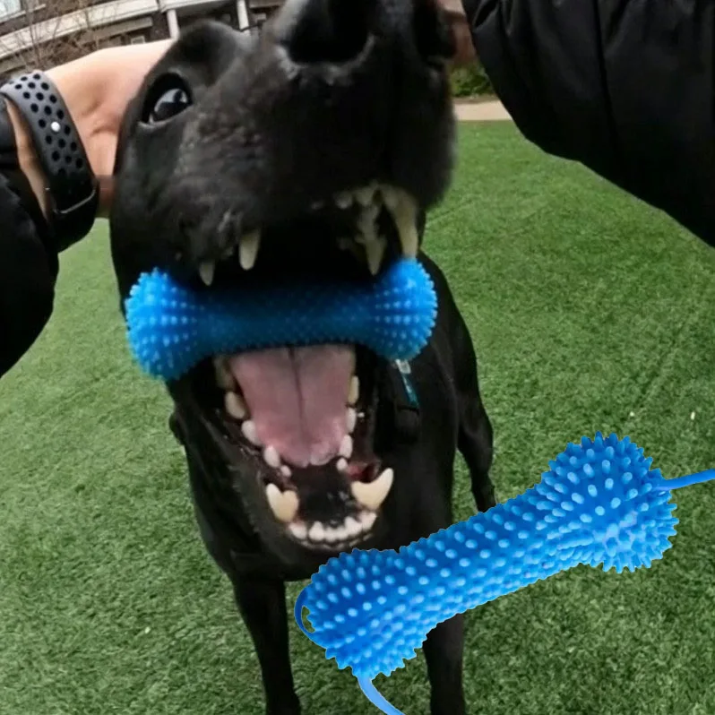 Dog Toothbrushing Toy Suction Cup Pull Rope Dental Chew Stick Rubber Teeth Cleaning Interactive 1005012503258262