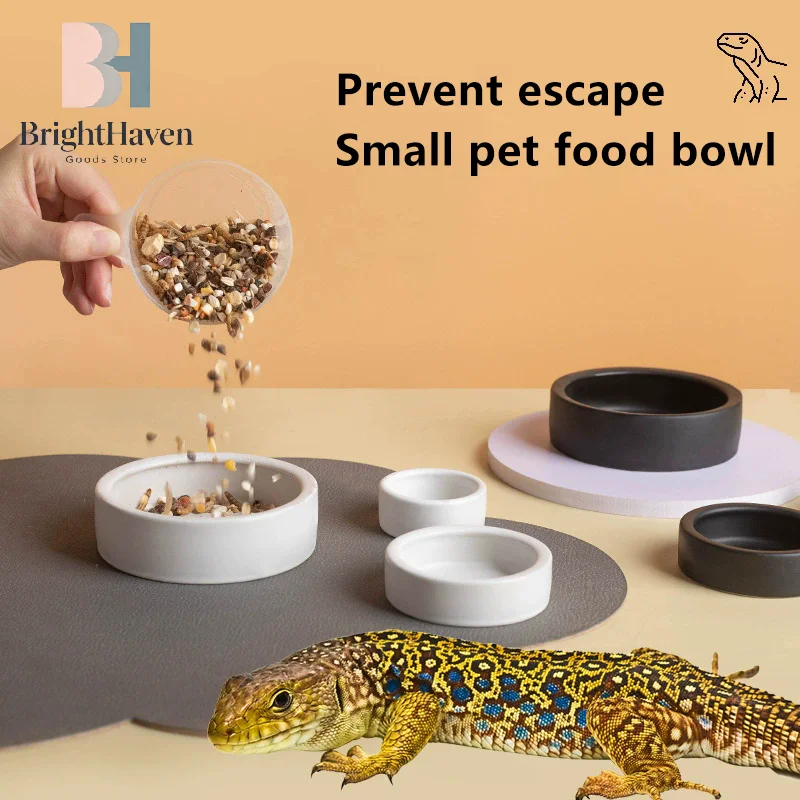 Reptile Food Bowl Anti-Escape Ceramic Feeder Dish Black White Reptile Water Bowl for Hermit Crab 1005012504667334